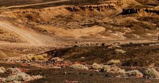 瓜帅：进球被吹？没关系，这会让我们更强大