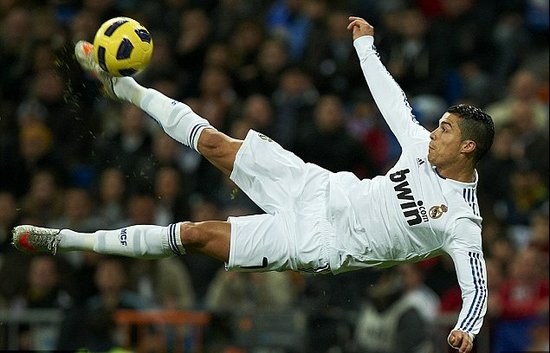 供了坚实的 供了坚实的